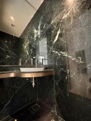 Klimt Cairnhill (D9), Apartment #459488871